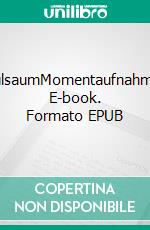 SpülsaumMomentaufnahmen. E-book. Formato EPUB ebook