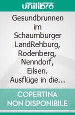 Gesundbrunnen im Schaumburger LandRehburg, Rodenberg, Nenndorf, Eilsen. Ausflüge in die Geschichte. E-book. Formato EPUB ebook