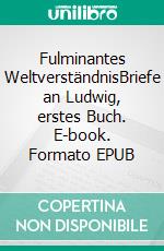 Fulminantes WeltverständnisBriefe an Ludwig, erstes Buch. E-book. Formato EPUB ebook