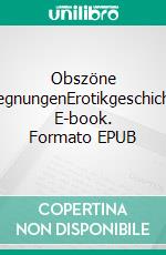 Obszöne BegegnungenErotikgeschichten. E-book. Formato EPUB ebook