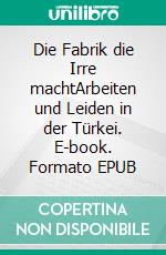 Die Fabrik die Irre machtArbeiten und Leiden in der Türkei. E-book. Formato EPUB ebook