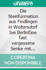 Die Steinformation aus Findlingen in Woltersdorf bei BerlinEine fast vergessene Senke mit Steinreihen im Wald. E-book. Formato EPUB ebook di Volker Meyer