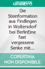 Die Steinformation aus Findlingen in Woltersdorf bei BerlinEine fast vergessene Senke mit Steinreihen im Wald. E-book. Formato EPUB ebook