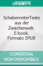 SchabenreiterTexte aus der Zwischenwelt. E-book. Formato EPUB ebook di Johannes Baerlap