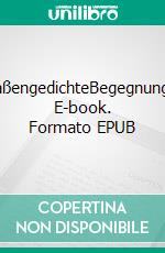 StraßengedichteBegegnungen. E-book. Formato EPUB