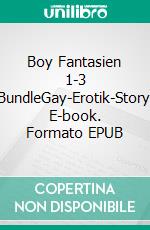 Boy Fantasien 1-3 eBundleGay-Erotik-Storys. E-book. Formato EPUB ebook