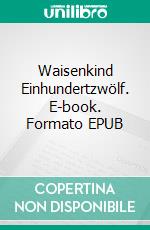 Waisenkind Einhundertzwölf. E-book. Formato EPUB ebook