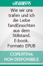 Wie wir uns trafen und ich die Liebe fandEinsichten aus dem Stillstand. E-book. Formato EPUB ebook