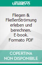 Fliegen & FließenStrömung erleben und berechnen. E-book. Formato PDF ebook
