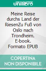 Meine Reise durchs Land der RiesenZu Fuß von Oslo nach Trondheim. E-book. Formato EPUB ebook