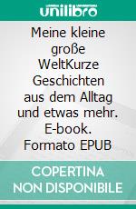 Meine kleine große WeltKurze Geschichten aus dem Alltag und etwas mehr. E-book. Formato EPUB ebook