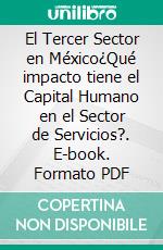 El Tercer Sector en México¿Qué impacto tiene el Capital Humano en el Sector de Servicios?. E-book. Formato PDF