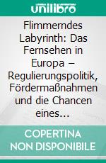 Flimmerndes Labyrinth: Das Fernsehen in Europa  – Regulierungspolitik, Fördermaßnahmen und die Chancen eines paneuropäischen Fernsehkanals. E-book. Formato PDF ebook