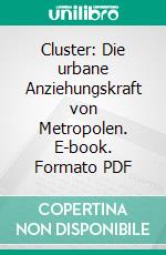 Cluster: Die urbane Anziehungskraft von Metropolen. E-book. Formato PDF ebook di Mahbooba Katawazi