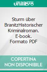 Sturm über BranitzHistorischer Kriminalroman. E-book. Formato PDF ebook