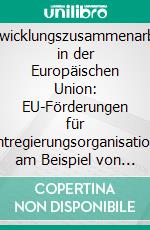 Entwicklungszusammenarbeit in der Europäischen Union: EU-Förderungen für Nichtregierungsorganisationen am Beispiel von „Nuestros Pequeños Hermanos“. E-book. Formato PDF ebook