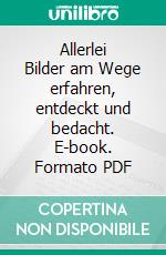 Allerlei Bilder am Wege erfahren, entdeckt und bedacht. E-book. Formato PDF ebook di Rainer Haas