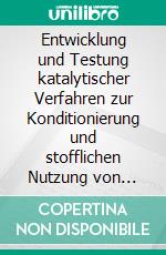 Entwicklung und Testung katalytischer Verfahren zur Konditionierung und stofflichen Nutzung von Hüttengasen. E-book. Formato EPUB ebook