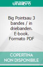 Big Pointsau 3 bandes / in driebanden. E-book. Formato PDF ebook di Andreas Efler