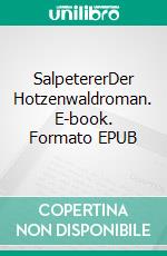 SalpetererDer Hotzenwaldroman. E-book. Formato EPUB ebook di Norbert Lüttin