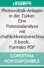 Photovoltaik-Anlagen in der Türkei: Eine Potenzialanalyse mit Wirtschaftlichkeitsberechnungen. E-book. Formato PDF ebook