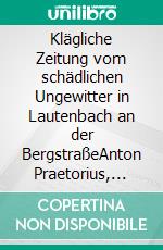 Klägliche Zeitung vom schädlichen Ungewitter in Lautenbach an der BergstraßeAnton Praetorius, Laudenbach 1612 - Unwetter in Laudenbach. E-book. Formato PDF ebook