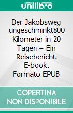 Der Jakobsweg  ungeschminkt800 Kilometer in 20 Tagen – Ein Reisebericht. E-book. Formato EPUB