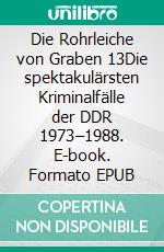 Die Rohrleiche von Graben 13Die spektakulärsten Kriminalfälle der DDR 1973–1988. E-book. Formato EPUB ebook