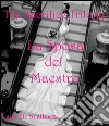 La Sposa del Maestro. E-book. Formato Mobipocket ebook di Lady B. Scathach