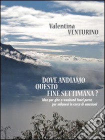 Dove andiamo questo fine settimana?. E-book. Formato EPUB ebook di Valentina Venturino