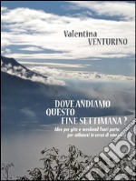 Dove andiamo questo fine settimana?. E-book. Formato EPUB ebook