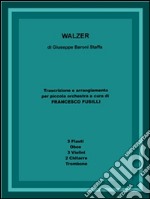 Walzer. E-book. Formato PDF ebook