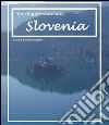 Un viaggio chiamato Slovenia. E-book. Formato Mobipocket ebook di Osvaldo Forastelli