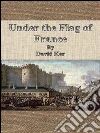 Under the flag of France. E-book. Formato EPUB ebook di David Ker
