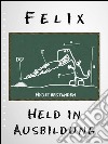 Felix - Held in Ausbildung. E-book. Formato EPUB ebook