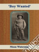 'Boy Wanted'. E-book. Formato EPUB ebook