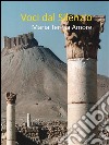 Voci dal silenzio. E-book. Formato EPUB ebook di Maria Teresa Amore