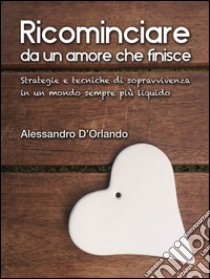 Ricominciare da un amore che finisce: Strategie di sopravvivenza in un mondo sempre più liquido. E-book. Formato Mobipocket ebook di Alessandro D'Orlando