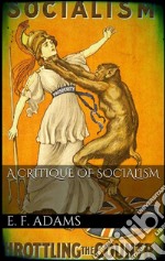 A critique of socialism. E-book. Formato EPUB