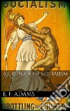 A critique of socialism. E-book. Formato EPUB ebook