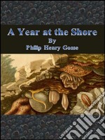 A year at the shore. E-book. Formato Mobipocket