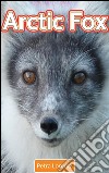 Arctic fox. E-book. Formato EPUB ebook di Petra Lorentz