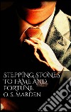  Stepping Stones to Fame and Fortune. E-book. Formato EPUB ebook