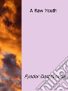 A raw youth. E-book. Formato Mobipocket ebook di Fyodor Dostoyevsky