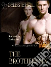The Brothers Sin: Seduction Series, Book 6. E-book. Formato EPUB ebook di Celeste Hall
