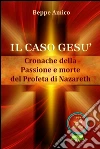 Il caso Gesù - Cronache della Passione e morte del profeta di Nazareth. E-book. Formato PDF ebook di Beppe Amico