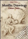 Murillo: Drawings Colour Plates  . E-book. Formato EPUB ebook