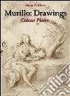 Murillo: Drawings Colour Plates  . E-book. Formato Mobipocket ebook