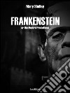 Frankenstein: or The Modern Prometheus. E-book. Formato EPUB ebook