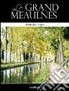 Le grand Meaulnes. E-book. Formato EPUB ebook